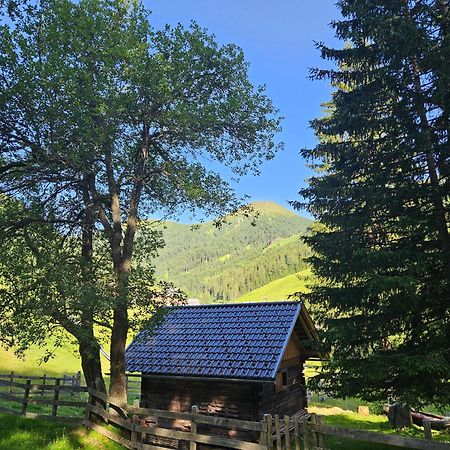 Kinder- Und Familienhotel Nockalm Innerkrems Kültér fotó