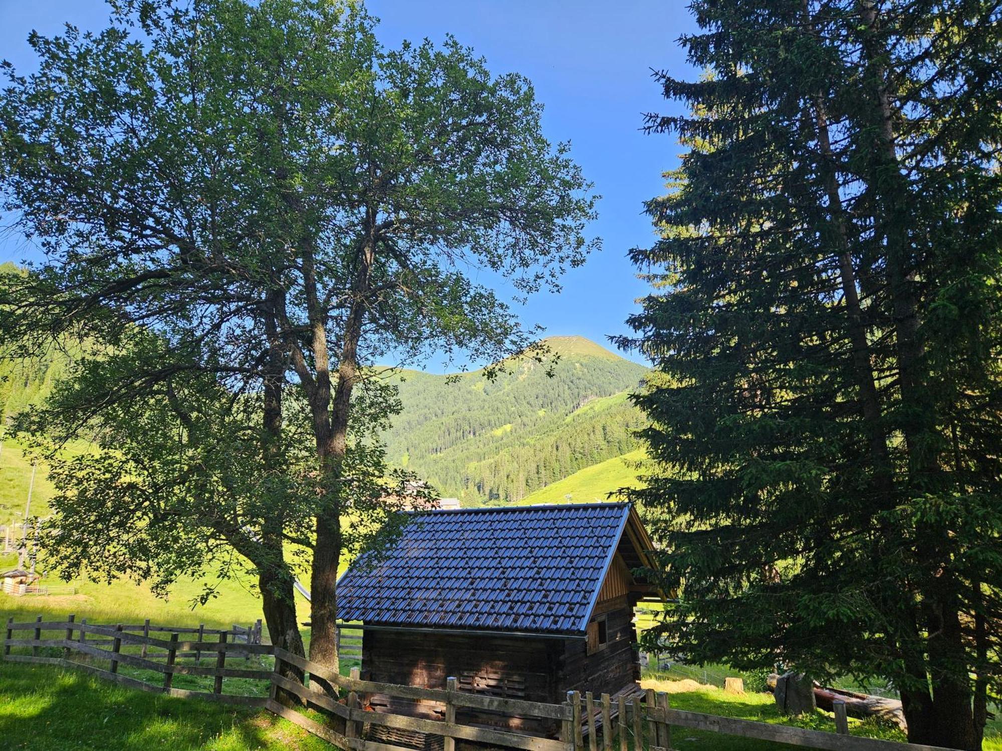 Kinder- Und Familienhotel Nockalm Innerkrems Kültér fotó